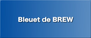 Bleuet de BREW : BREW Profiler